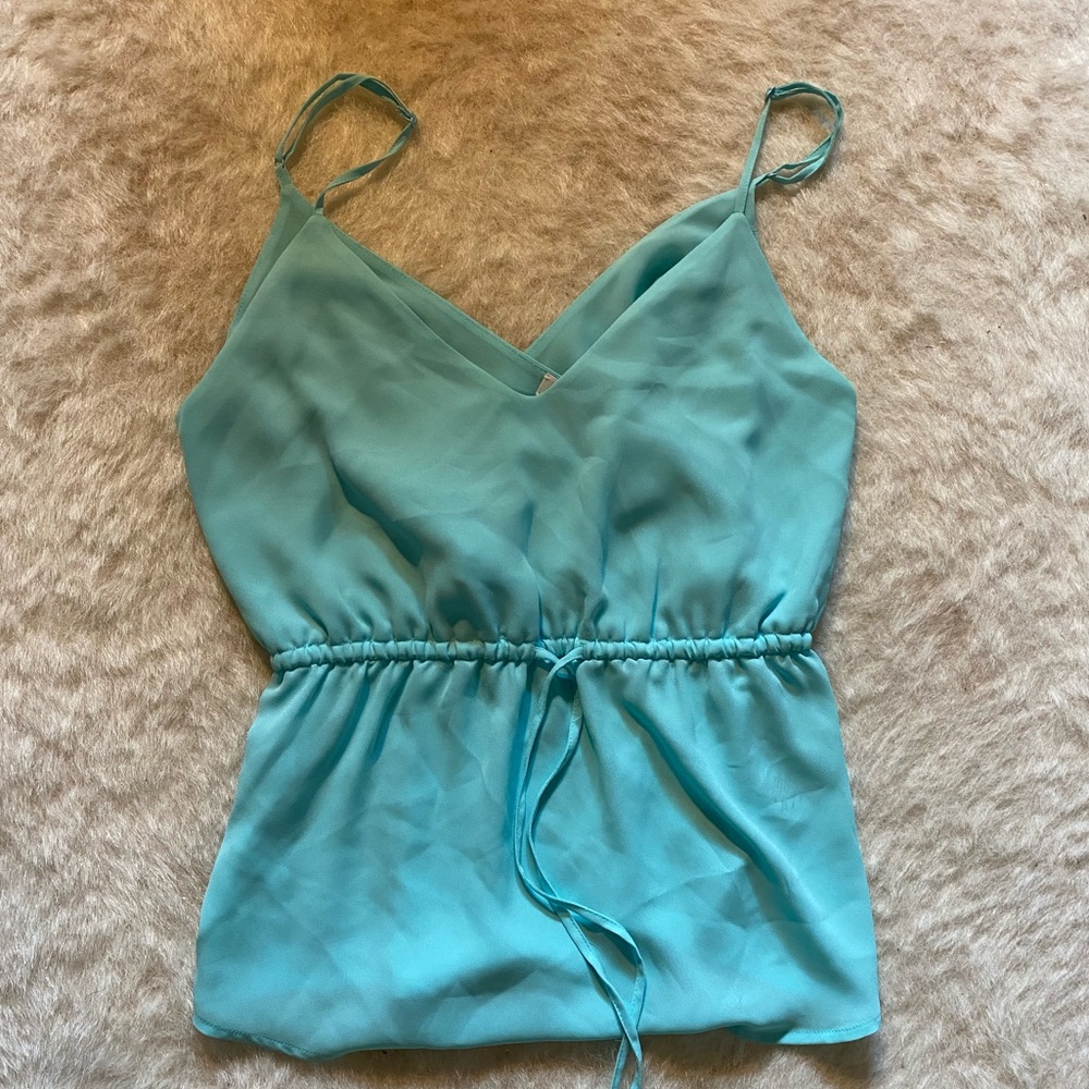 Blue Aritzia blouse